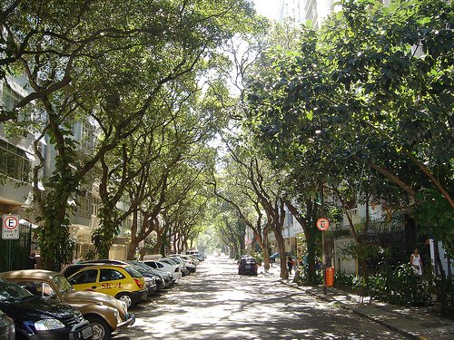 jualtorres's tweet photo. Barrio de Ipanema. Rio. Ejemplo de arborización planificada. Años atrás mapearon todas sus calles y fueron plantando distintas especies. Acá es INCREÍBLE que no lo hagamos. Hay varias especies no altas y que dan buena sombra (que es el activo principal que necesitamos) https://t.co/FiNur8gtD8