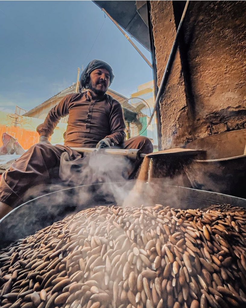 BrightAfghan4's tweet photo. Afghanistan's Pine Nuts; Tasty & Delicious!#afghanistan #paktia #khost #pine_nuts
https://t.co/VO0j6q5DVI
