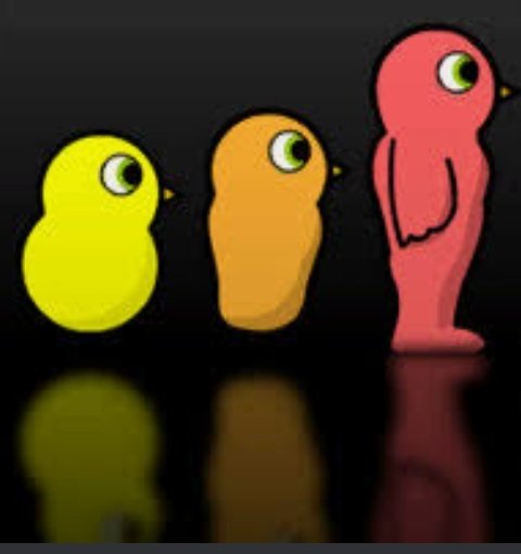 n_magz's tweet photo. @keyon Duck life https://t.co/u8dZXy2Qt5