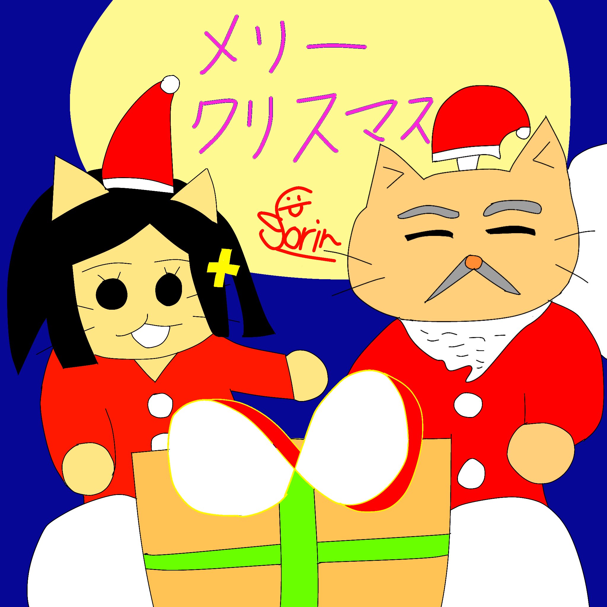 雨の日のねこ様☆メリークリスマス☆ dfffrdrdhr.jpg
