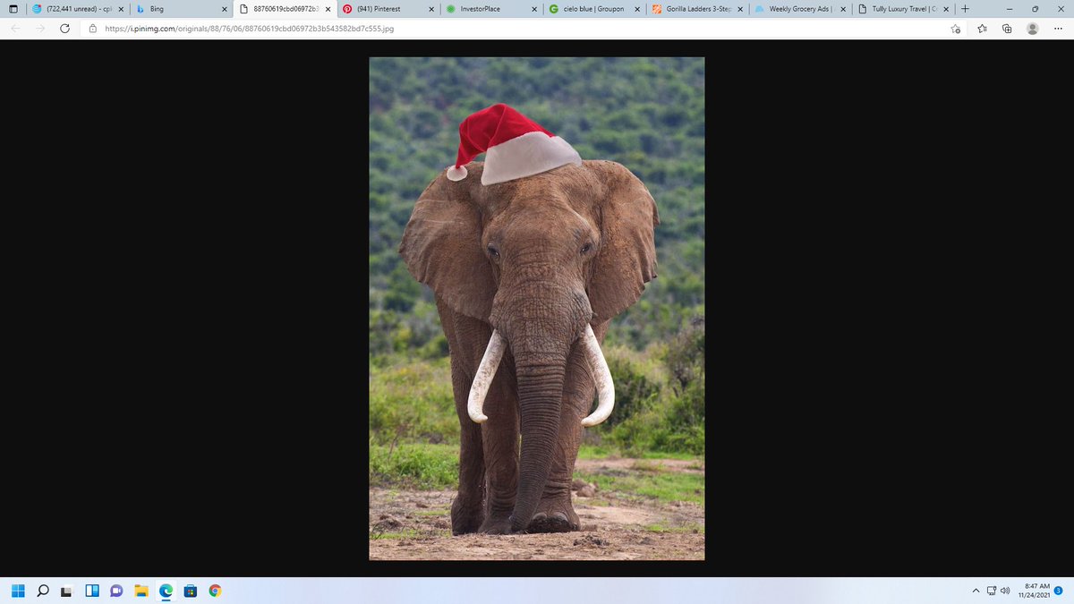 Merry Christmas and thank you for all your hard work!