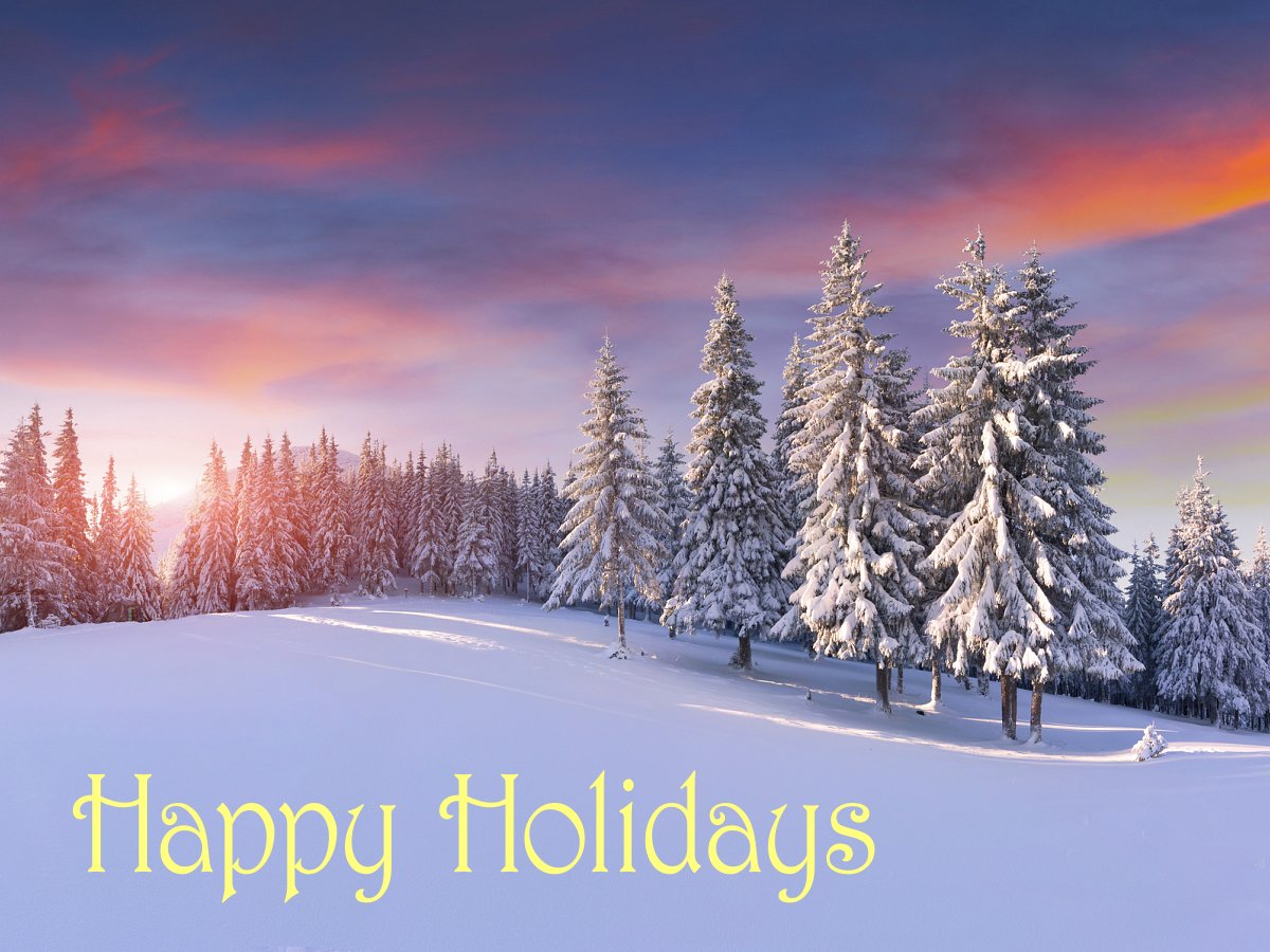 InspireRealtyNC's tweet photo. Cheerful wishes for a joyous and festive holiday season. #HappyHolidays #SeasonsGreetings https://t.co/PFYpR1eNiv