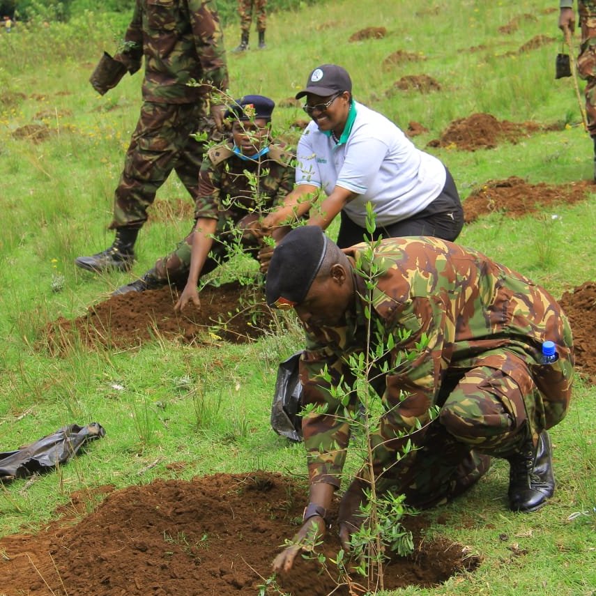 Making peace with nature. Getting real with nature.