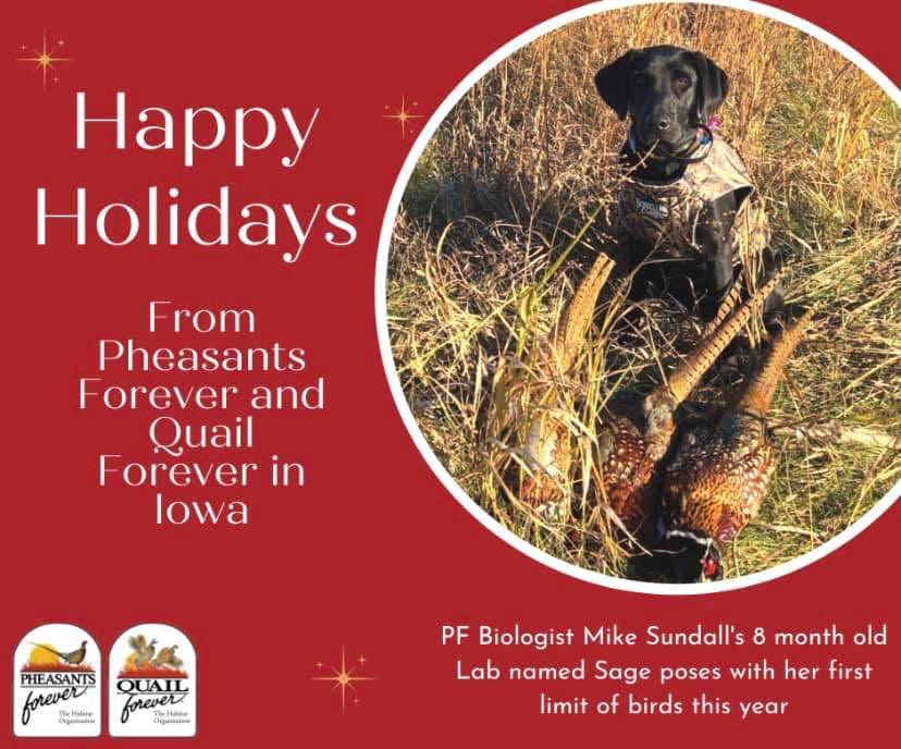 Wishing everyone a great and safe holiday season! Be sure to check out our Facebook page for a special holiday offer.