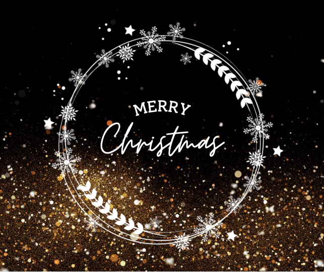 stella_brie's tweet photo. Merry Christmas everyone! Have a wonderful day with your family and friends. 

#merrychristmas #reverseharem #indieauthor https://t.co/3bOi1XTEGf