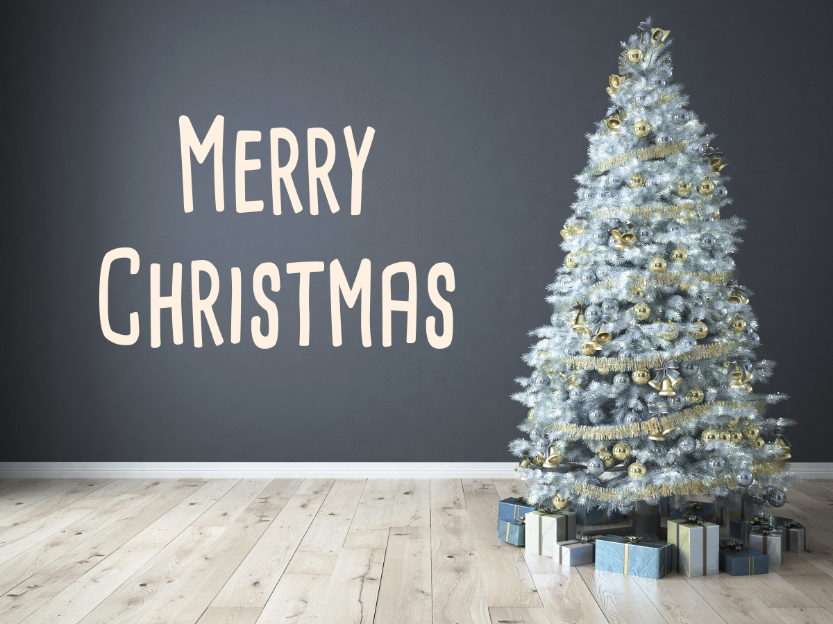Kelly__Cardozo's tweet photo. Peace and happiness to you on #Christmas. #celebrate https://t.co/osqTyx6m02