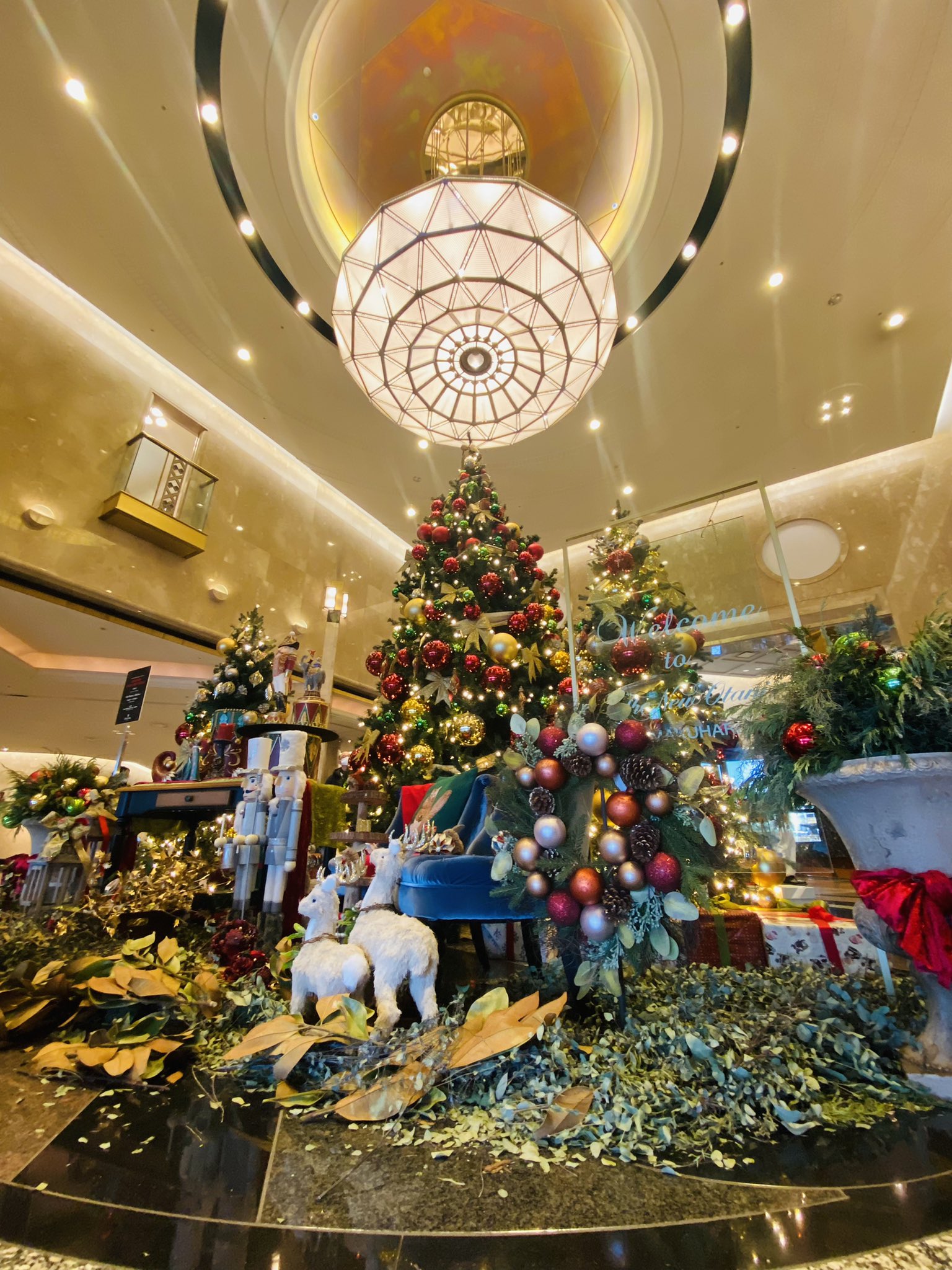 名倉 主 玉置浩二さんディナーショー 言葉足らずですが 本当に凄かったです 僕自身が心から感動しました 涙堪えながら弾きました 最高のクリスマスになりました ありがとうございました 玉置浩二 故郷楽団 T Co Kdljftrtha Twitter