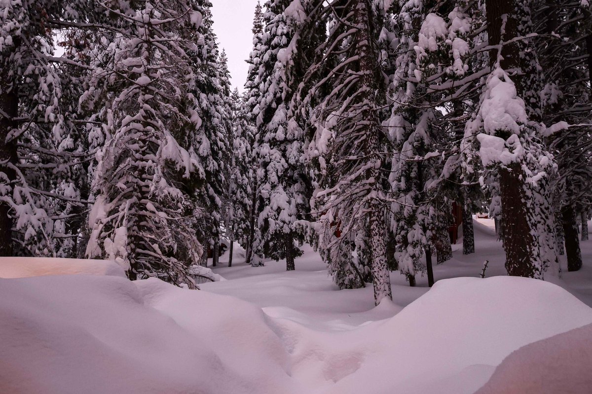 dspitz's tweet image. Waking up to Another White Xmas in Tahoe!!!