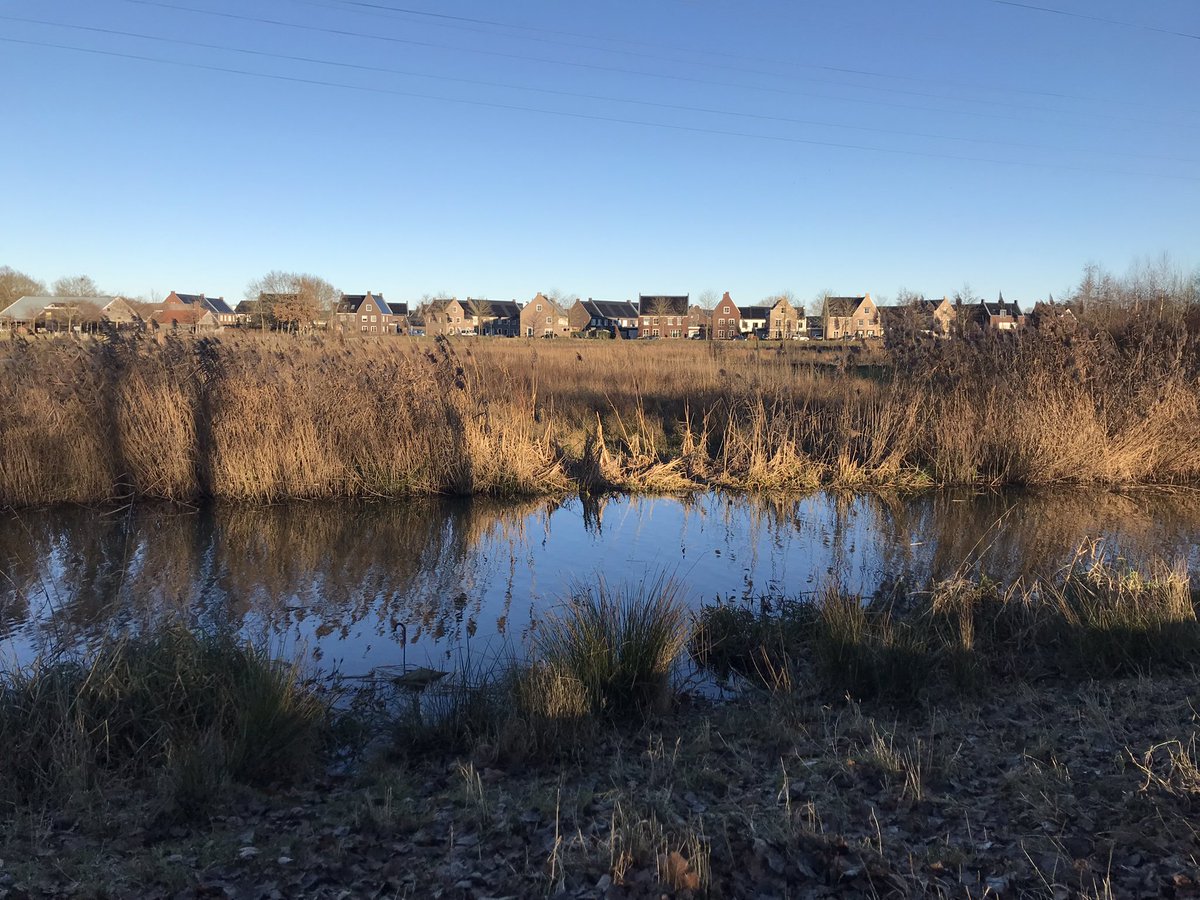 Eiko Smid tweet media