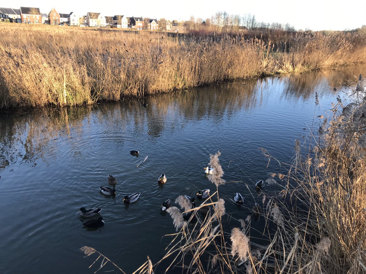 Eiko Smid tweet media