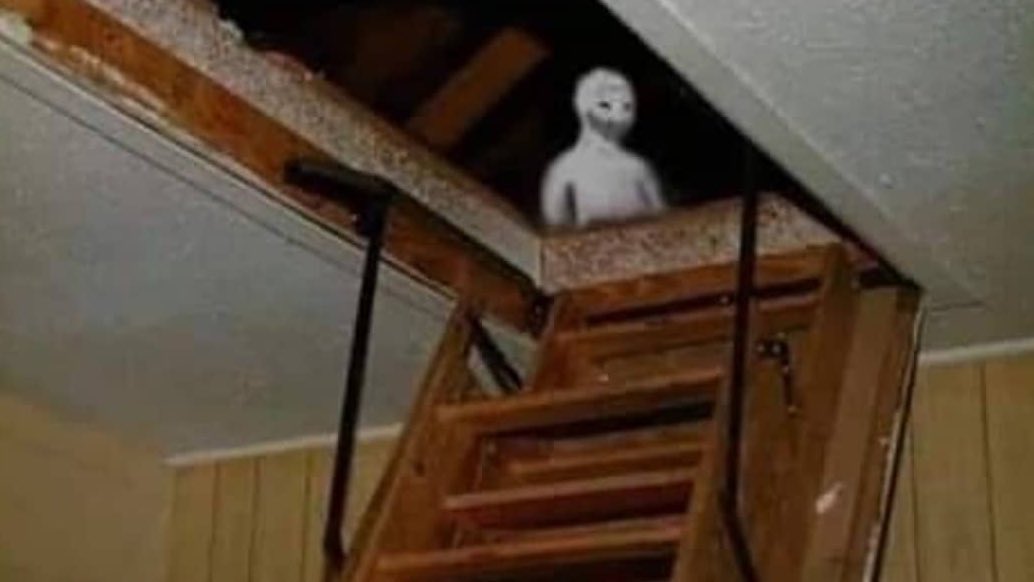 merry xmas anon !

why dont u put ur internet coins down and join the family ?