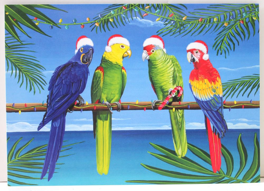 AFC_SDC's tweet photo. 🎄🦜 Merry Christmas from Pierre and his pals! 🎄🦜 @myafchome https://t.co/rRNPp7M3nH