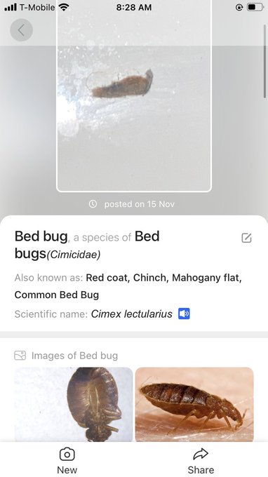 Neglecting me for 7 months  to live and currently living in infestation bitten over 9000 times at 50<a href="/tag/goddessofhead"class="tags"><span>#goddessofhead</span></a>