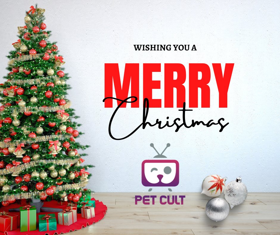 PetCultMedia's tweet photo. Be Merry and Bright to your pet today! https://t.co/RlFoUqVjw7