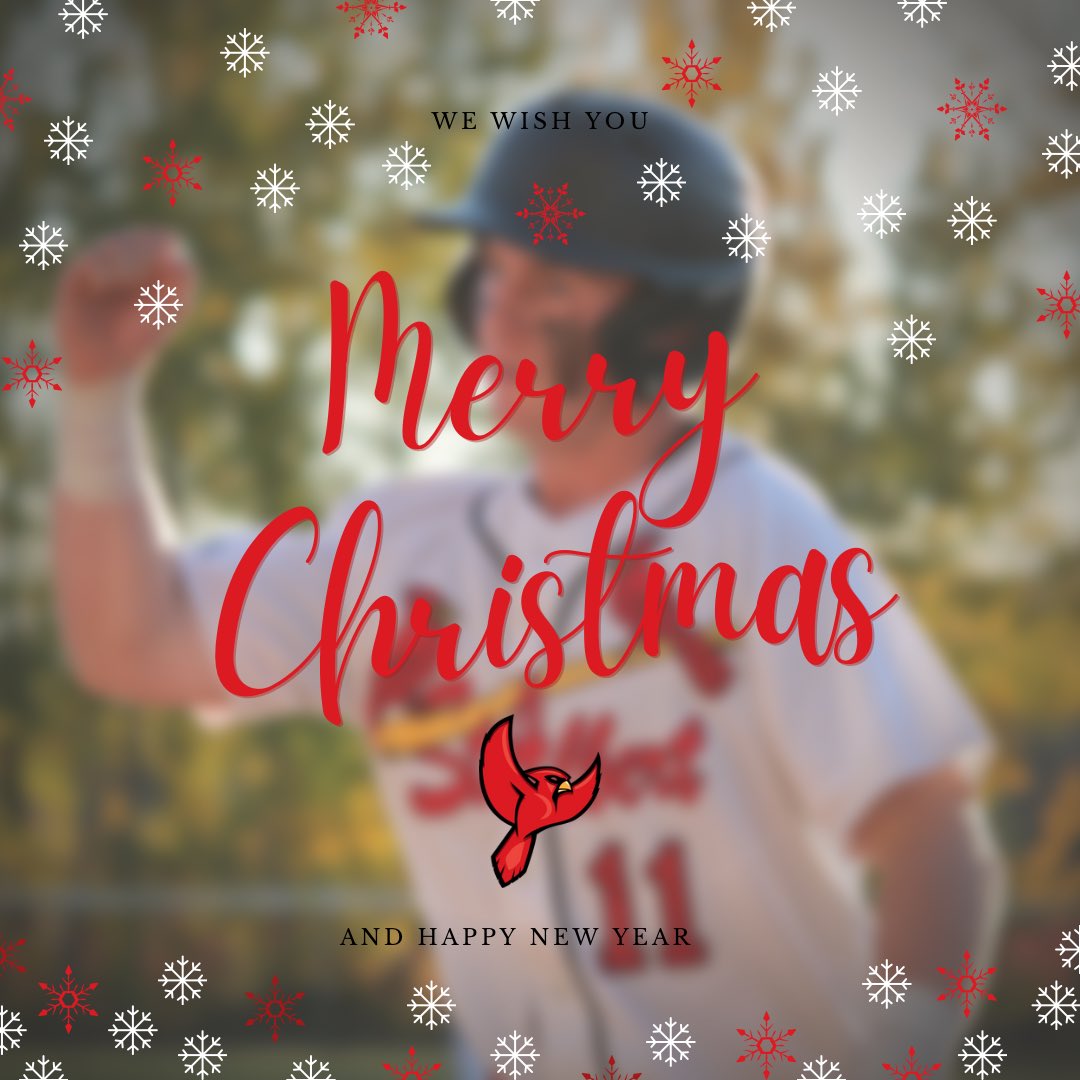 cardinalsdev's tweet photo. The #DEVFamily wishes you a happy holidays!
#STAFLY https://t.co/rsFBA307BJ