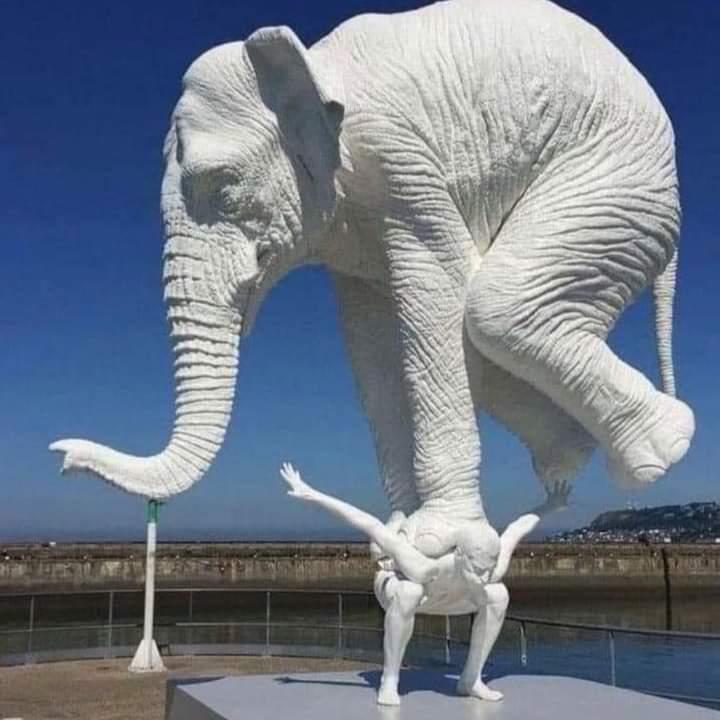 Kpo_do's tweet photo. A very rare picture of the Republic of Ghana ๐ข
#DissRespect https://t.co/508eRJrRlq