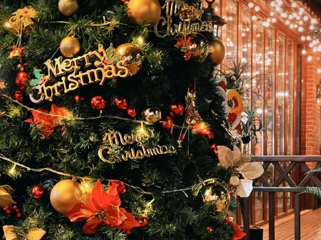 millenniumW3's tweet photo. Merry Xmas🎄 https://t.co/S2WUX3S8nJ