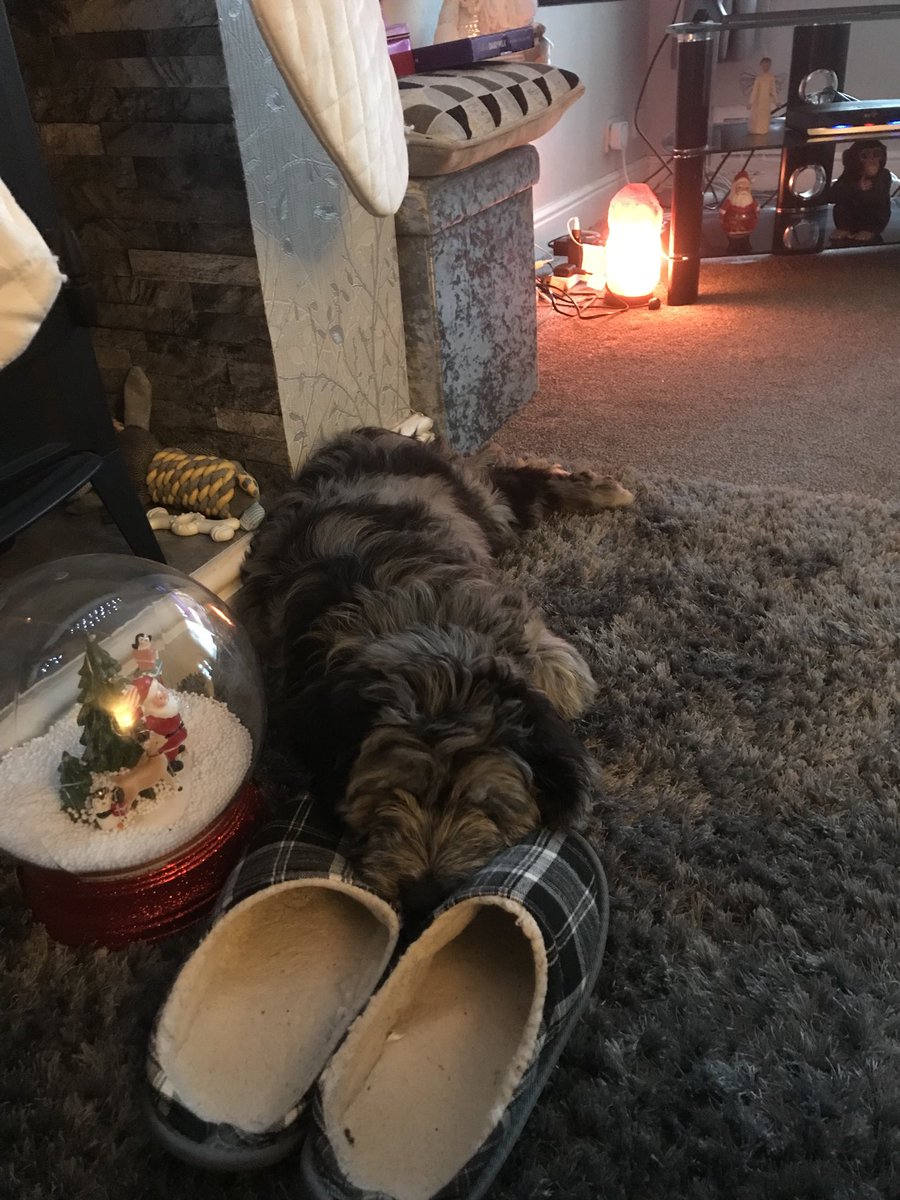 Got me mate for the afternoon