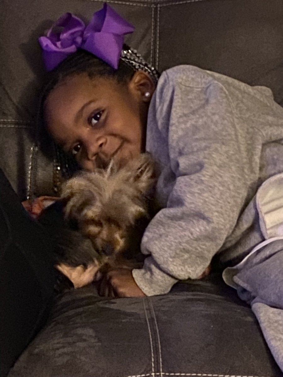 sirron2000's tweet photo. My granddaughter brought her lil doggie to our house and has converted her Nana from the ultimate “dog un-liker” to a snuggler ❤️🙏🏾👏🏾👏🏾  #ChristmasMiracle #YorkieWorld https://t.co/miT4Ufve50