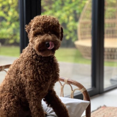TSaglambilek's tweet photo. #nieuweprofielfoto https://t.co/O1iVy0BEI3