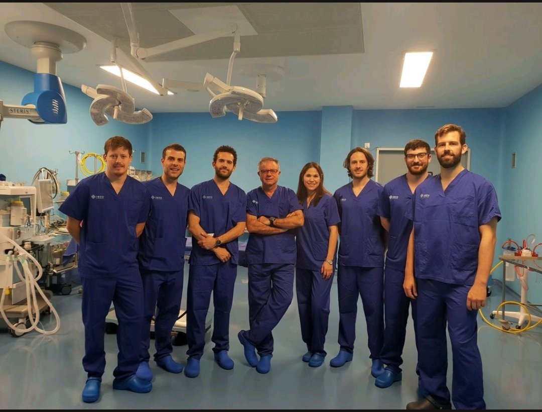 El servicio COT de <a href="/IMEDHospitales/">IMED Hospitales</a> Valencia os deseamos Feliz Navidad y próspero año nuevo.
Feliz año nuevo 
Drs. Sánchez Alepuz, Diaz, Peregrín,  Zurriaga,  Catalá,  Miniño,  Vila, Aguilar, Lares.
