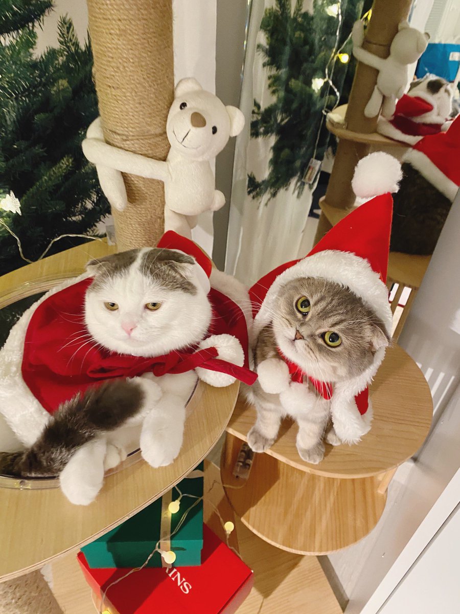 Too late but Merry Christmas 🎅🏻🤶🏻🎄🌟