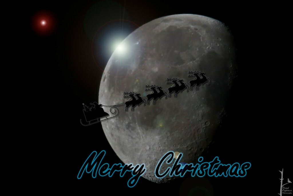 deadcypress's tweet photo. Wishing you all a very Merry Christmas! https://t.co/UlBNGbf6gK