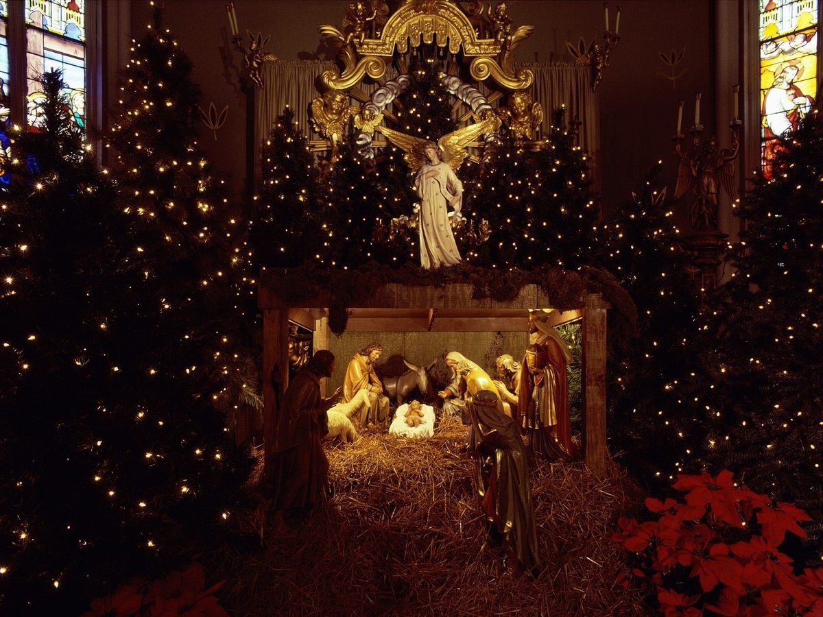 IzzyGainzaRu's tweet photo. @IzzyGainza ¡Feliz Navidad!  Deja que estas vacaciones llenen la casa de calidez y alegría. https://t.co/Fnxk4jg9Ou