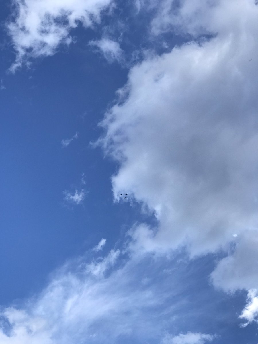 kylefbennett's tweet photo. Am I a bird Photogrpaher now? https://t.co/LUF6TLgoXF