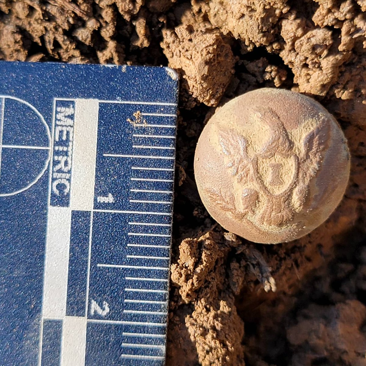 Freshly dug, highly plowed context.  Union infantry cuff button.  Recorded to <1 meter and cataloged in our camp #3 infantry artifact scatter.  Looking forward to publishing the survey of the camps and curating these items into public ownership.