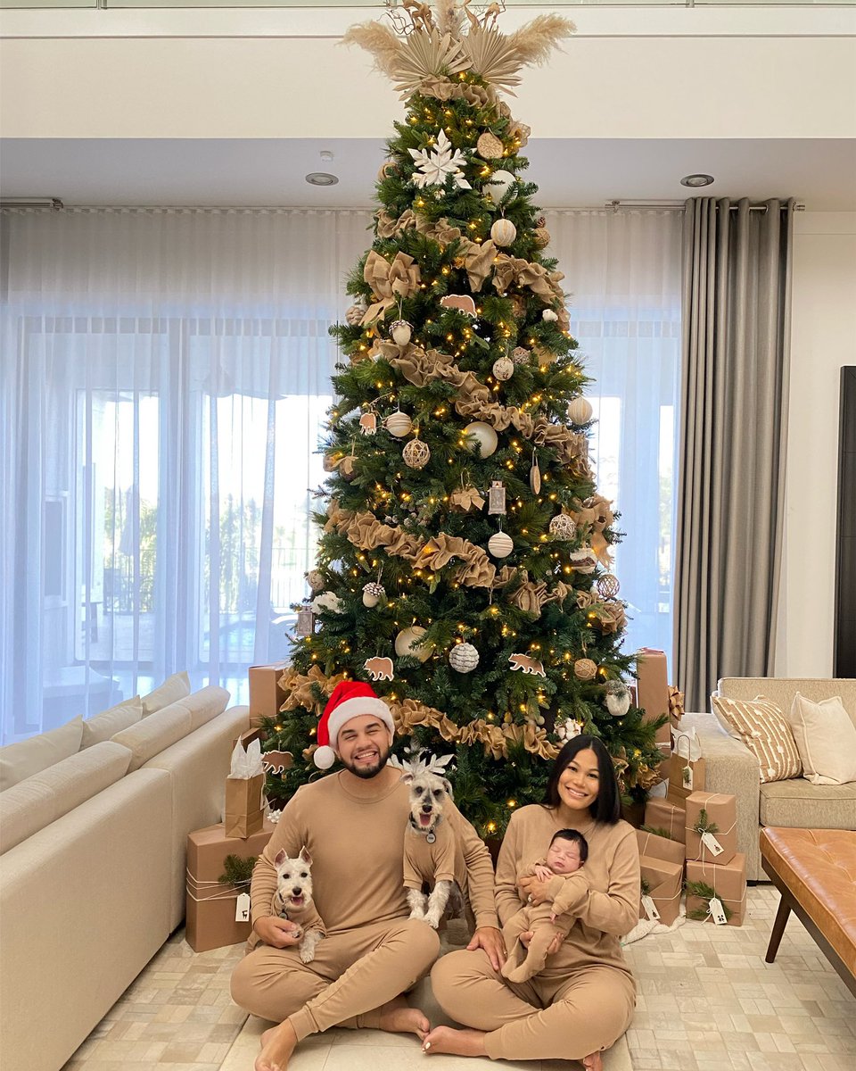 camilaainc's tweet photo. Merry Christmas from our little family to yours @LeJuan__James🎄❤️👶🏻🐶 https://t.co/ksTr4edpuZ