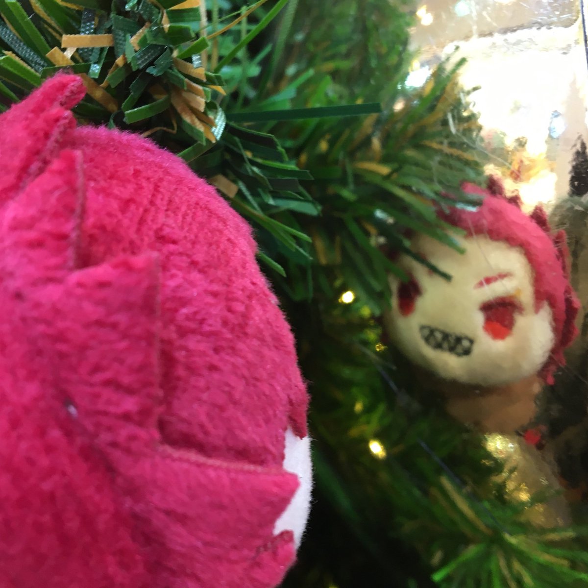 M0Z89S's tweet photo. have a holly jolly Christmas , https://t.co/miAcujlVuy