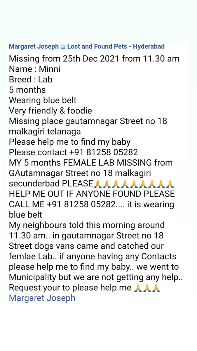 MerrittNatasha's tweet photo. #missingpets #malkajgiri #hyderabad #missingdog https://t.co/DlEtGbRfsY
