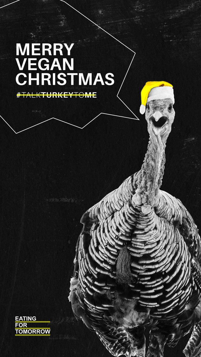 #MerryChristmas ❄️ to everyone from team E2E 🌎, we hope you're all enjoying your day! What are you eating this Christmas? Tag us!

#EatingForTomorrow #eowte #eating2extinction