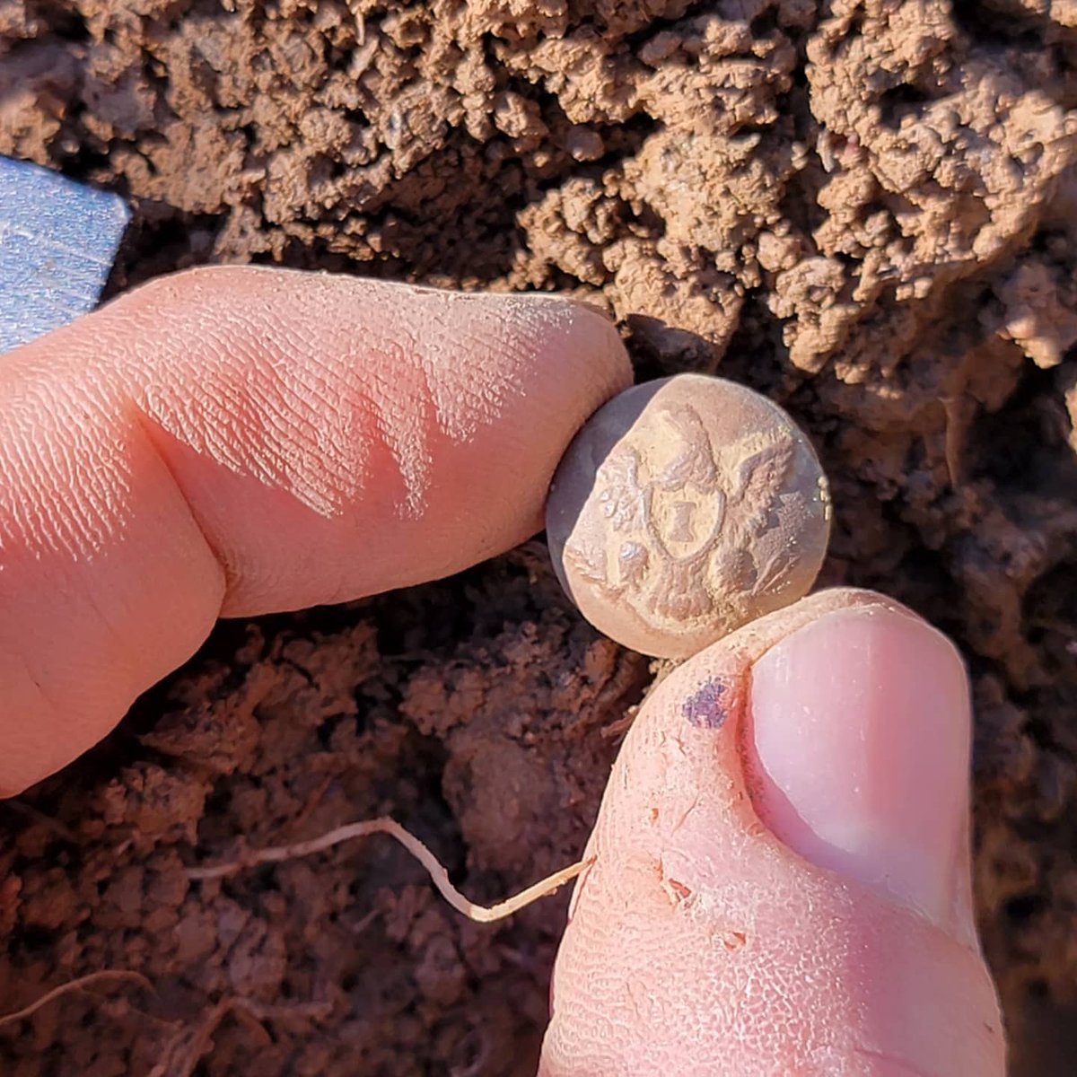Freshly dug, highly plowed context.  Union infantry cuff button.  Recorded to <1 meter and cataloged in our camp #3 infantry artifact scatter.  Looking forward to publishing the survey of the camps and curating these items into public ownership.