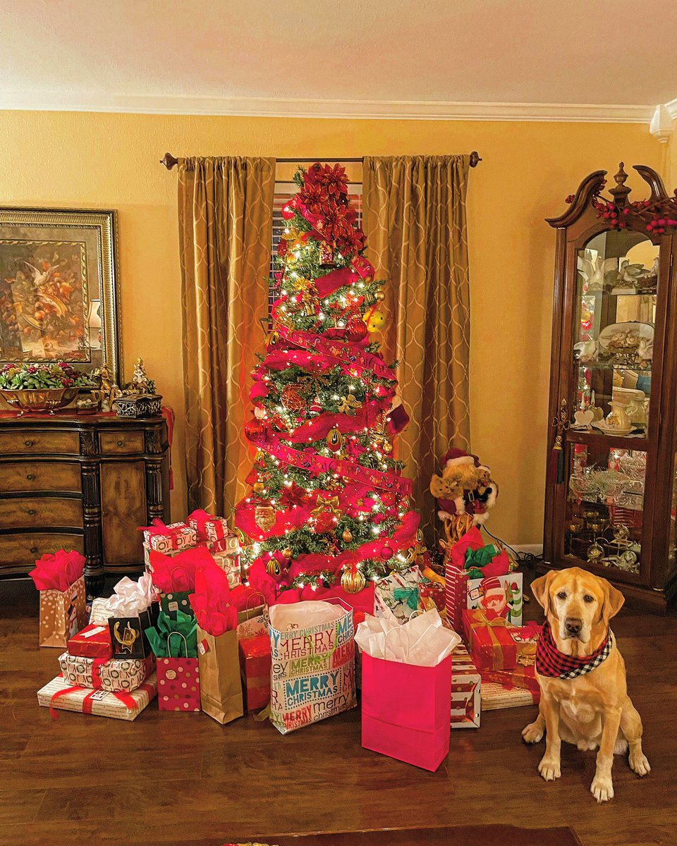 duckman1717's tweet photo. MERRY CHRISTMAS EVERYONE!!!
Ripley says drink plenty of eggnog and to enjoy your Holiday!!
#ChristmasLab #waterdog #duckdog
๐ฆ๐ฆฎ๐๐บ๐ธ๐ช๐ป @BestRetrievers https://t.co/6jmaXcJgLl