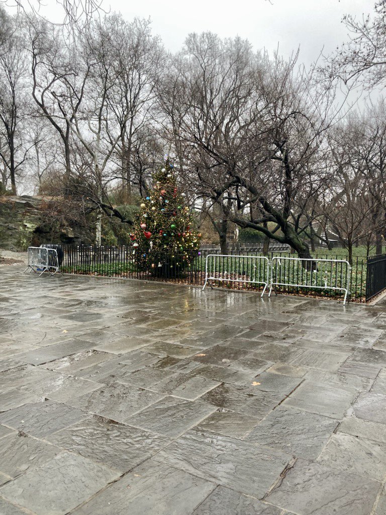 EVANGELIST_SC's tweet photo. Only an embolden Racist would continuously come  destroy, smear feces and cut signs to a community dedicated memorial Vigil known as #UES4BLM. BLACK PEOPLE WILL CONTINUE TO EXECUTED BY POLICE IN THIS COUNTRY BECAUSE OF HATRED. WHEN SOCIETY VALUES A DAMN TREE &amp; PROPERTY OVER https://t.co/Zim2v8HSUC