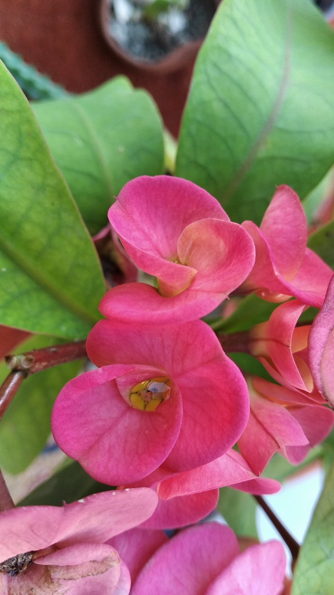 UNHIC Filial Holguín (@unhich) on Twitter photo 