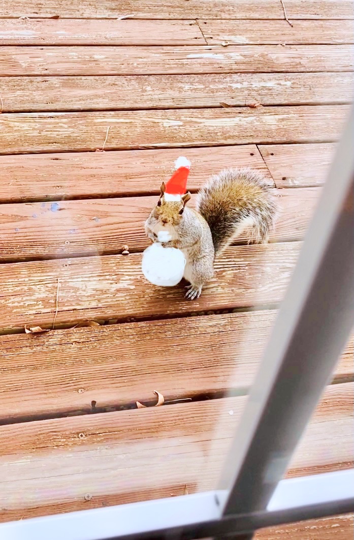 toribird33's tweet photo. Happy Holidays! 😊 https://t.co/dbuzxLo89Z