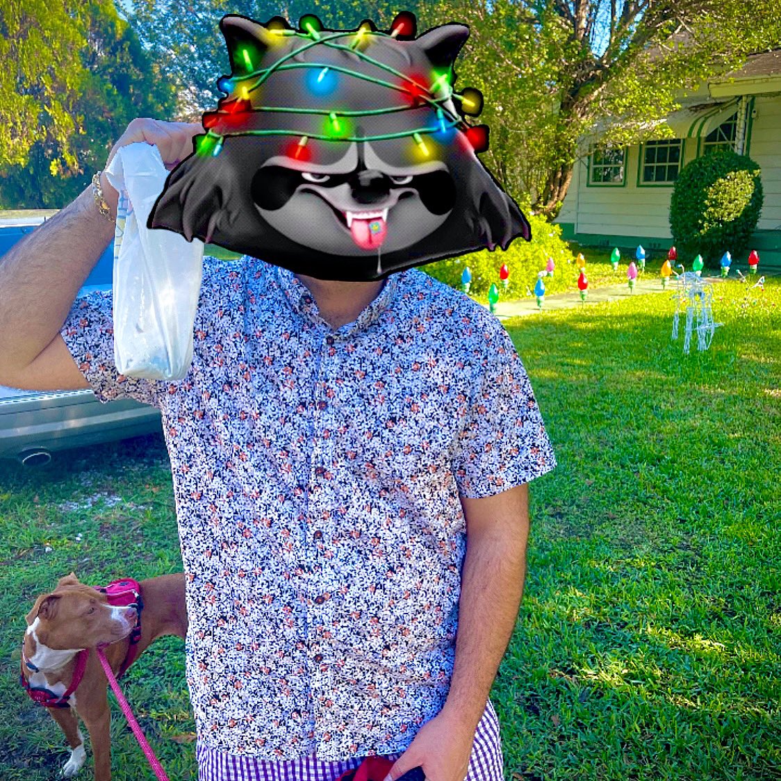 Clip275's tweet photo. Merry Trashmas ππ
Pickin up my $SOS bag from last night #redtablestudios #Degen https://t.co/QLmw96AYXP