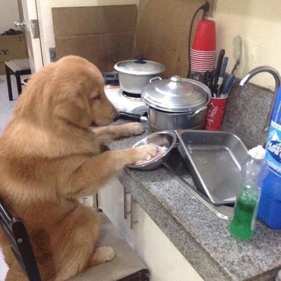 หาใครช่วยเก็บกวาดไม่ได้
ลัคกี้ :  

#คริสต์มาสบ้านบาร์ตัน