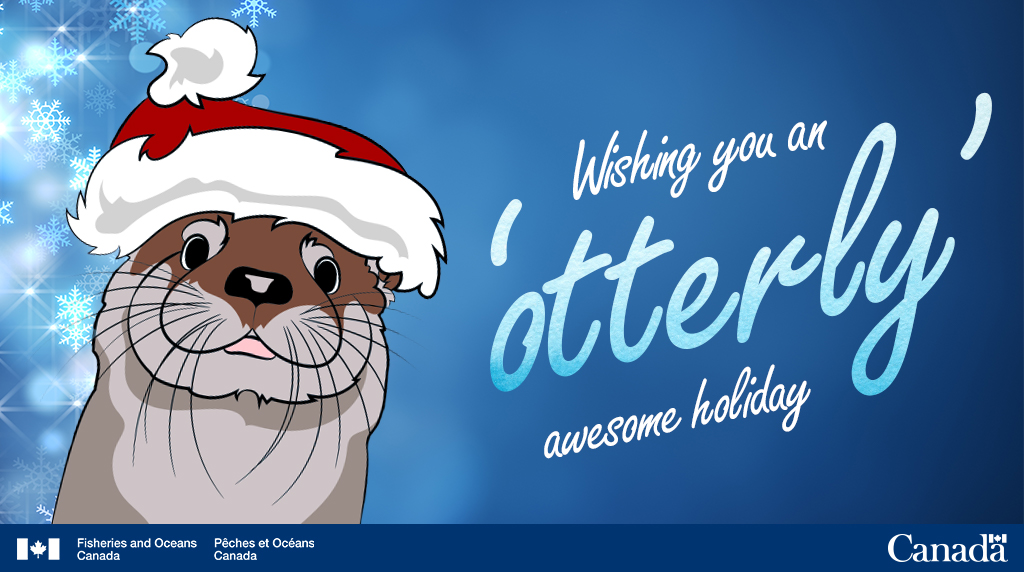 FishOceansCAN's tweet photo. We wish you and your loved ones a #MerryChristmas and #HappyHolidays  like no ‘otter’! https://t.co/VUFzm7qkJD