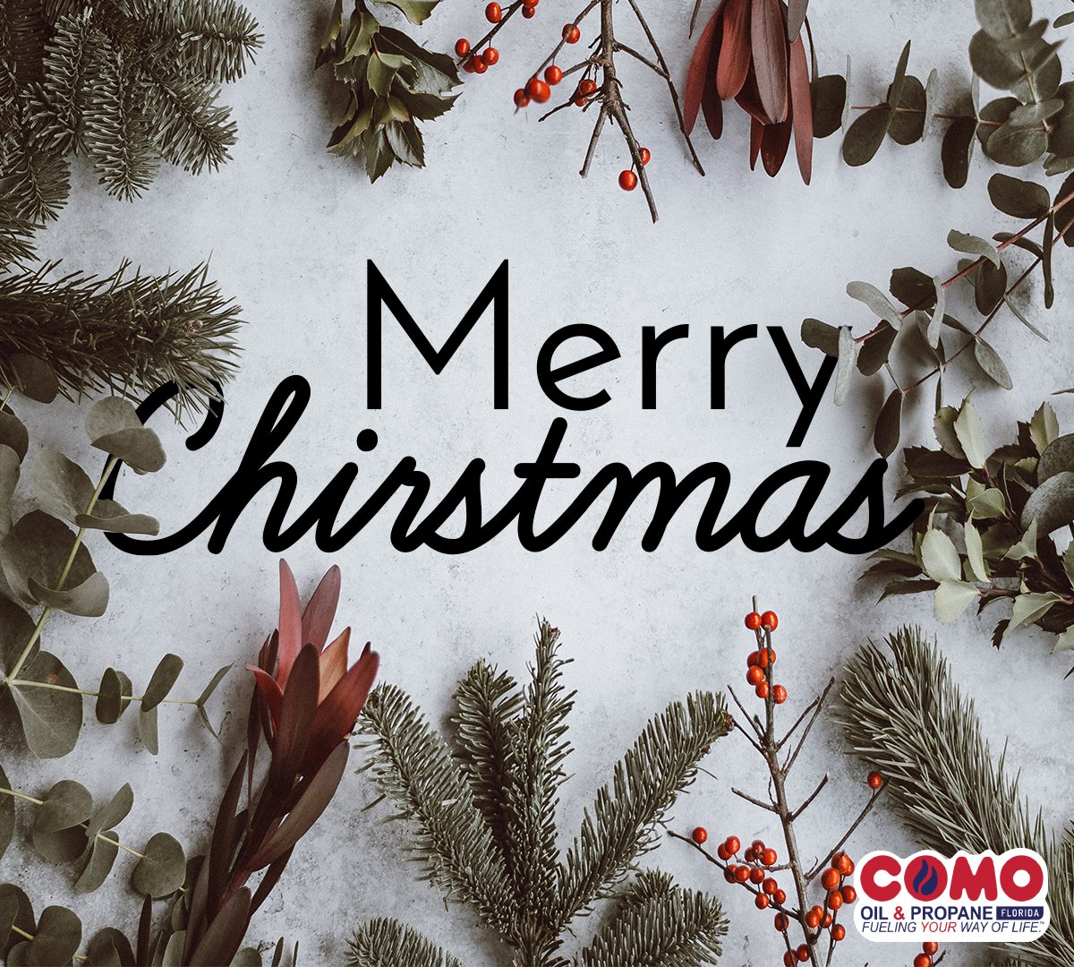 Merry Christmas from our Family to yours!