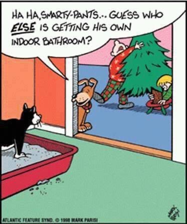 NaperHumane's tweet image. Merry Christmas from the Naperville Area Humane Society!