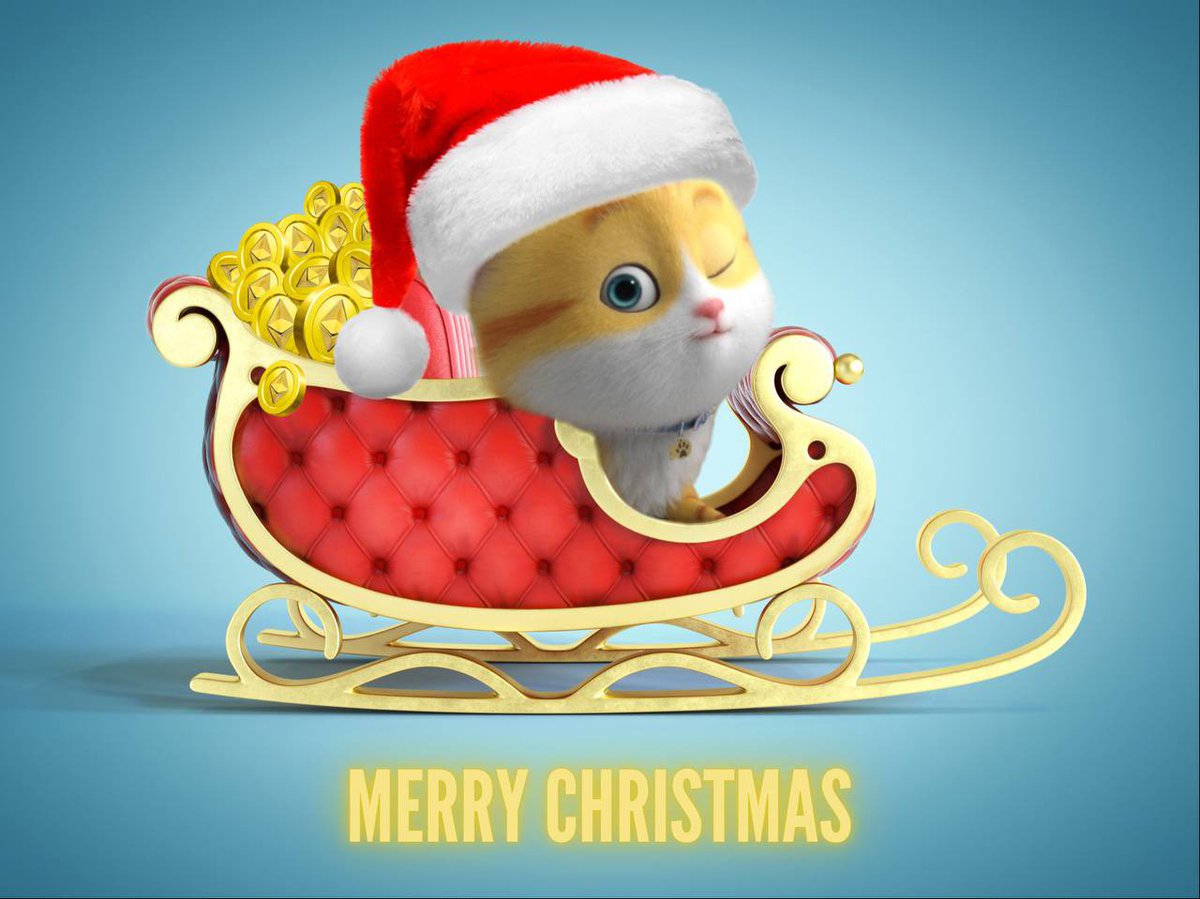 MewnInuOfficial's tweet photo. Merry Christmas from Mewn… on the nice list this year: diamond paws ♥️🎄 https://t.co/HNYG5RtxAk