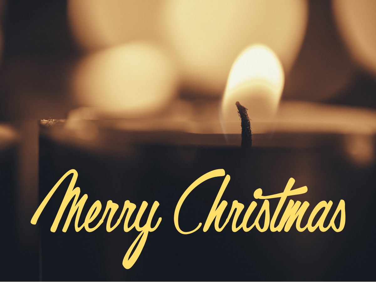 Damian Hall Group tweet media