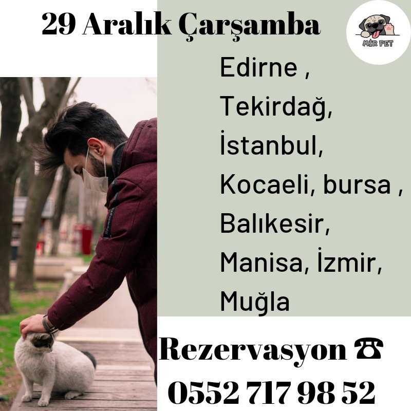 Mir Pet Nakil (@mirpetnakil) on Twitter photo 