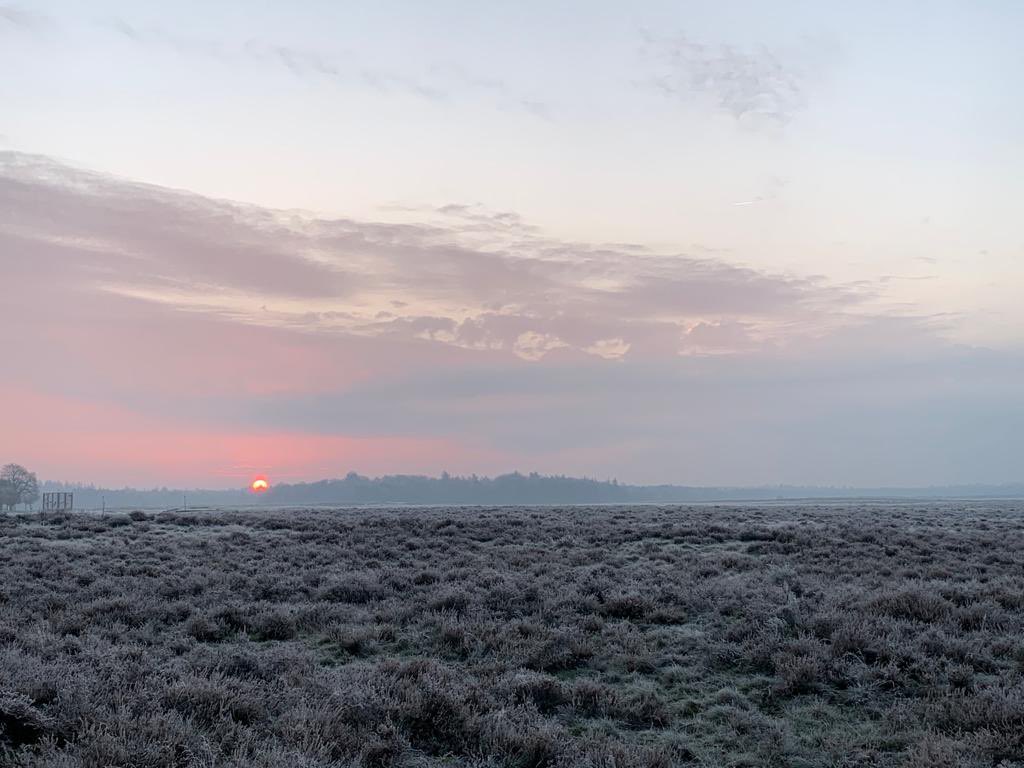 Victor Nuijten (@boaede_victor) on Twitter photo Ik wens al mijn volgers en iedereen die dit leest mooie kerstdagen en een goede jaarwisseling. Op naar een gezond en mooi 2022! Blijven genieten van de mooie natuur📸🎅🏻 🎄 <a href="/GemeenteEde/">Gemeente Ede</a> Ik wens al mijn volgers en iedereen die dit leest mooie kerstdagen en een goede jaarwisseling. Op naar een gezond en mooi 2022! Blijven genieten van de mooie natuur📸🎅🏻 🎄 <a href="/GemeenteEde/">Gemeente Ede</a>