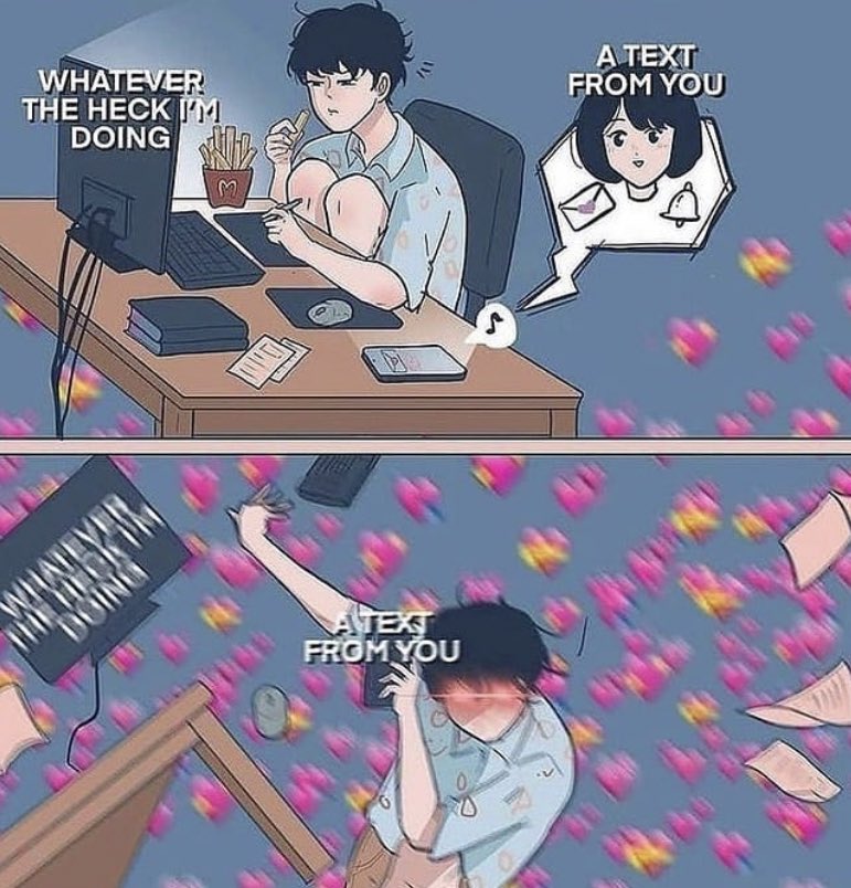 not cute & kinky memes tweet media