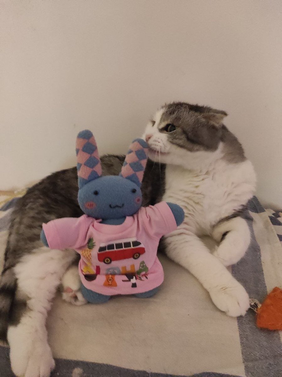 Спасибо всем, кто был с нами во время видеомоста, звонил и писал в чат! Эфир продолжится ночной программой, а завтра постараемся поделиться с вами видео. Шлем лучи любви и желаем всем доброй ночи!